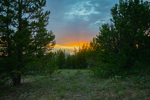 An image depicting the trail McIntyre Trail and its surrounding area.