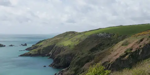 An image depicting the trail Coleton Fishacre Walk and its surrounding area.