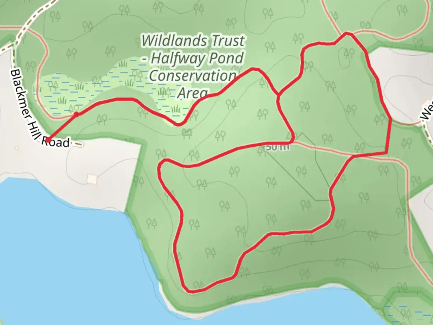 An image depicting the trail Blackmer Hill Road Loop and its surrounding area.