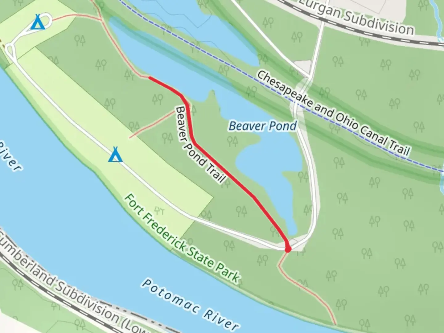 An image depicting the trail Beaver Pond Trail Out and Back and its surrounding area.