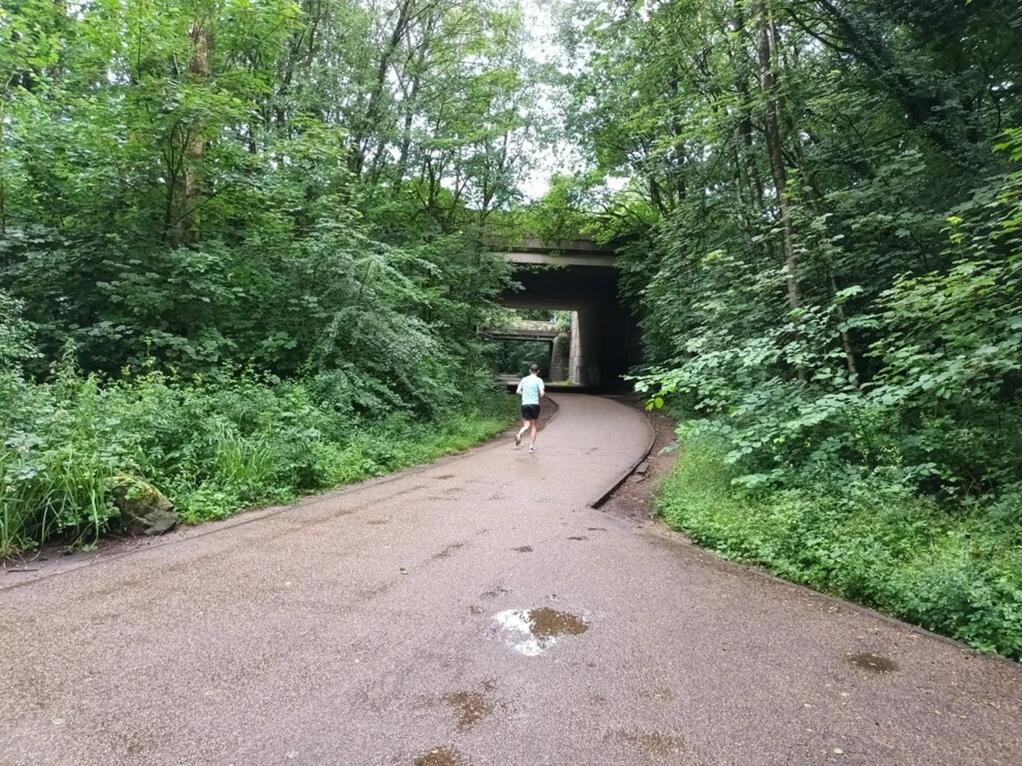 An image depicting the trail Roe Green Loopline and Bridgewater Way and its surrounding area.