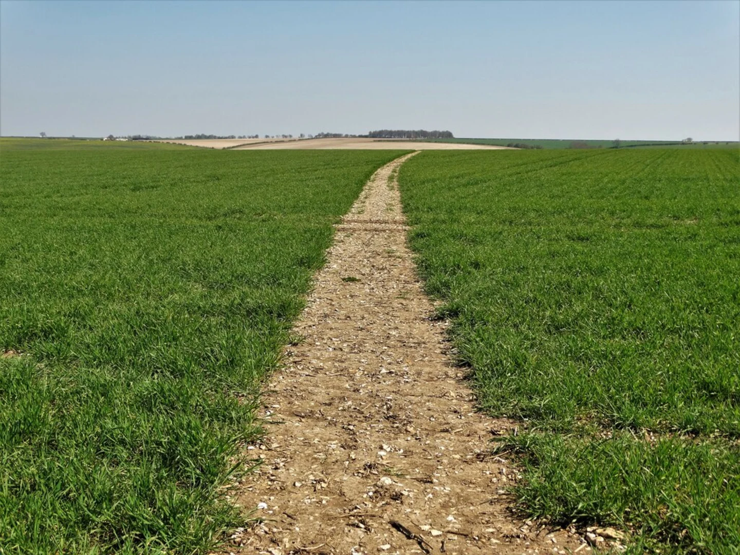 An image depicting the trail River Bain via Viking Way and its surrounding area.