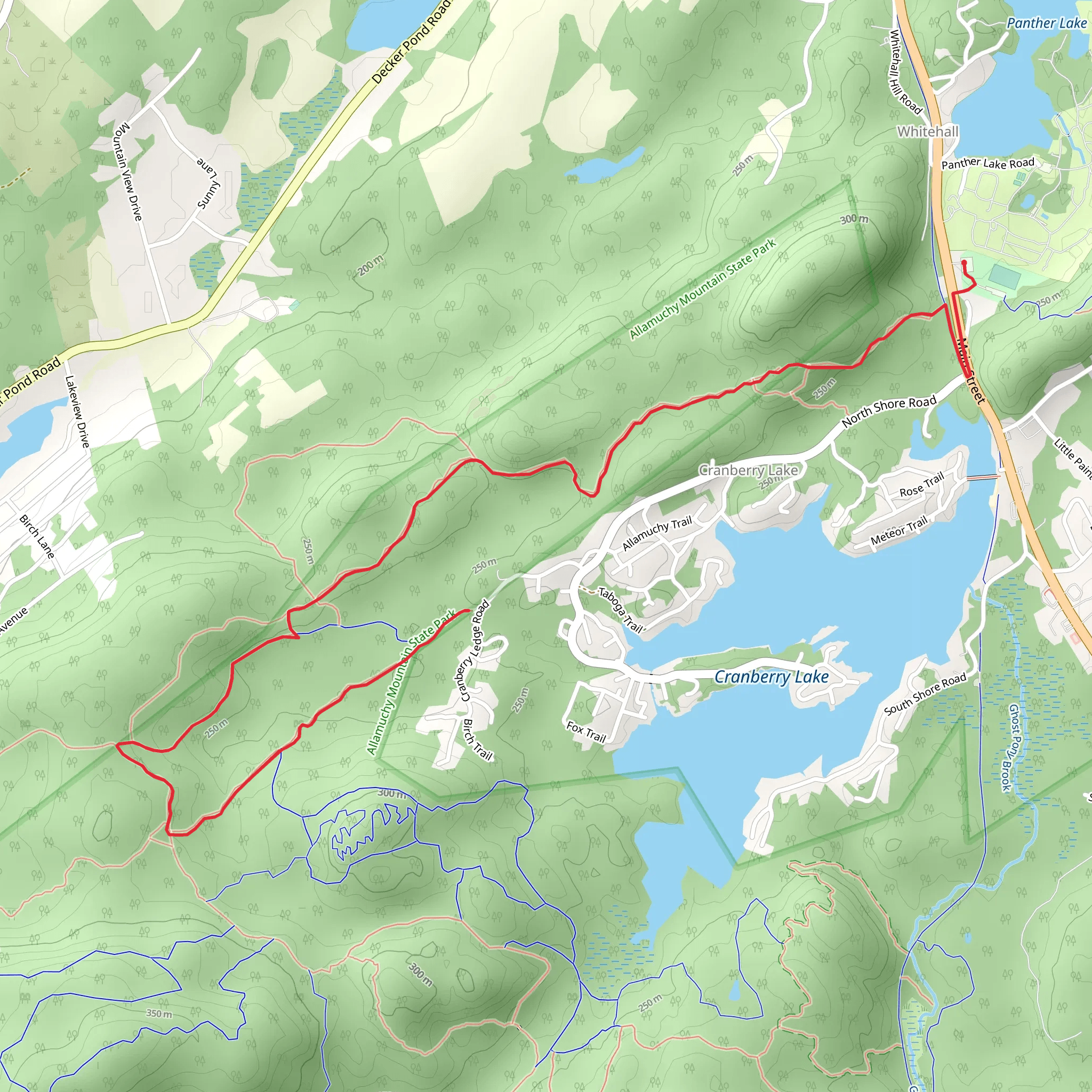 Wavin Willy - Green from Tamarack Park mobile static map