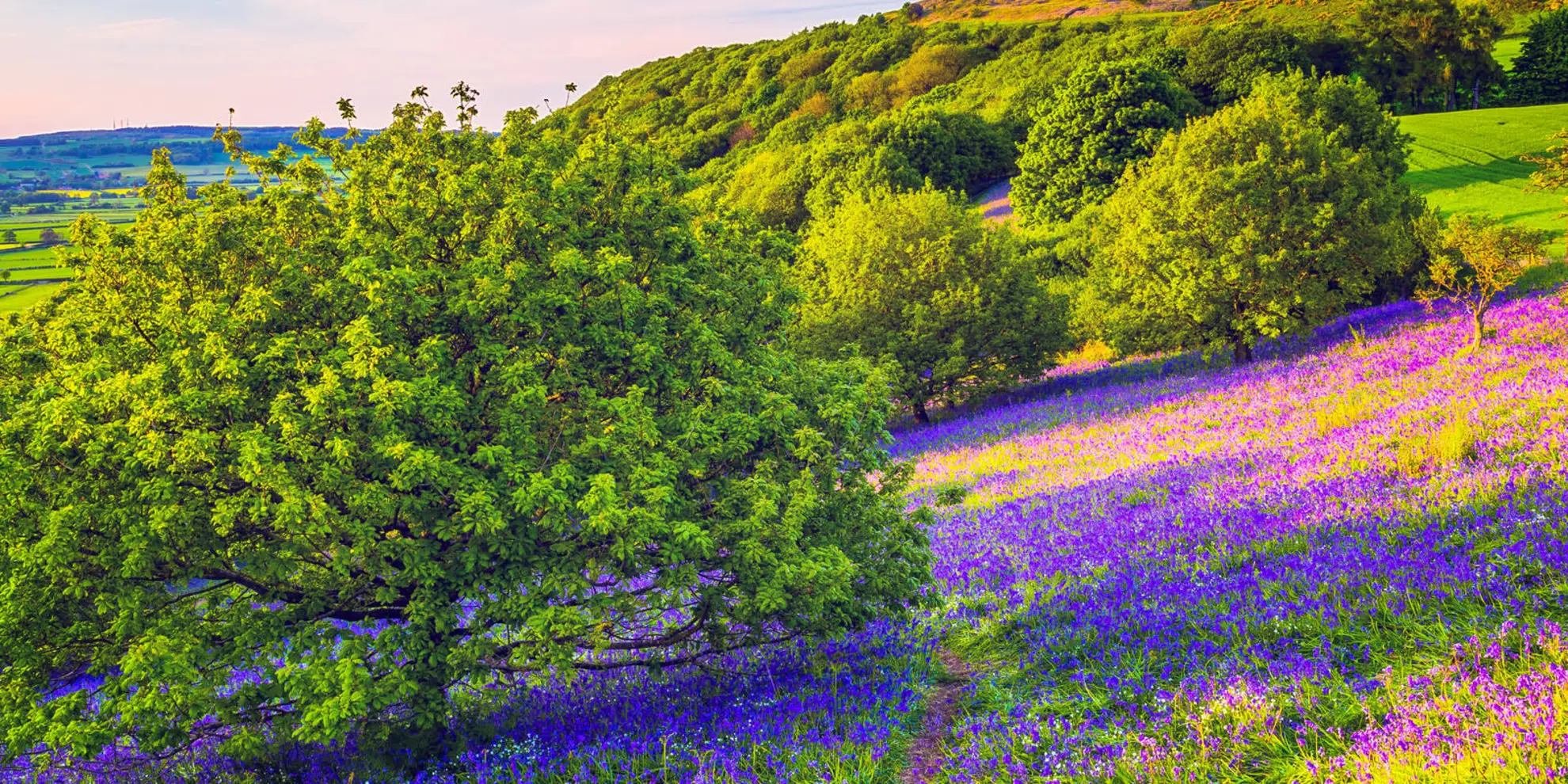 An image depicting the trail Cleveland Way - Roseberry Common to Tidy Brown Hill and its surrounding area.