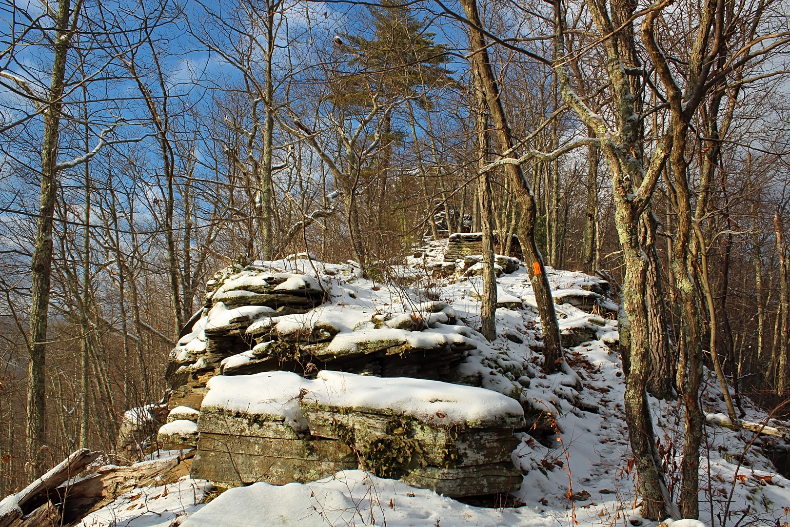 An image depicting the trail Eagle Rock via Horseshoe Trail and its surrounding area.