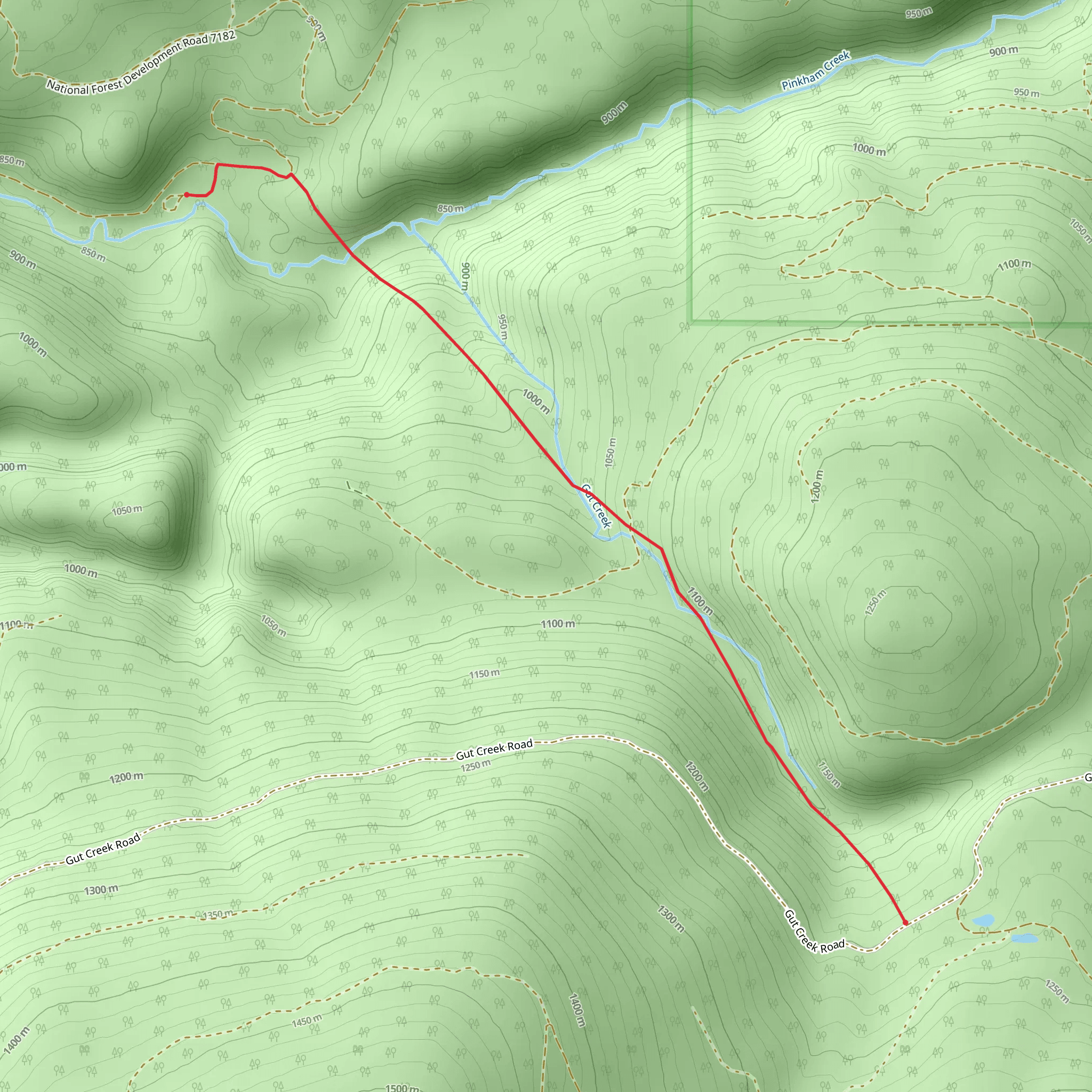 Gut Creek Trail mobile static map
