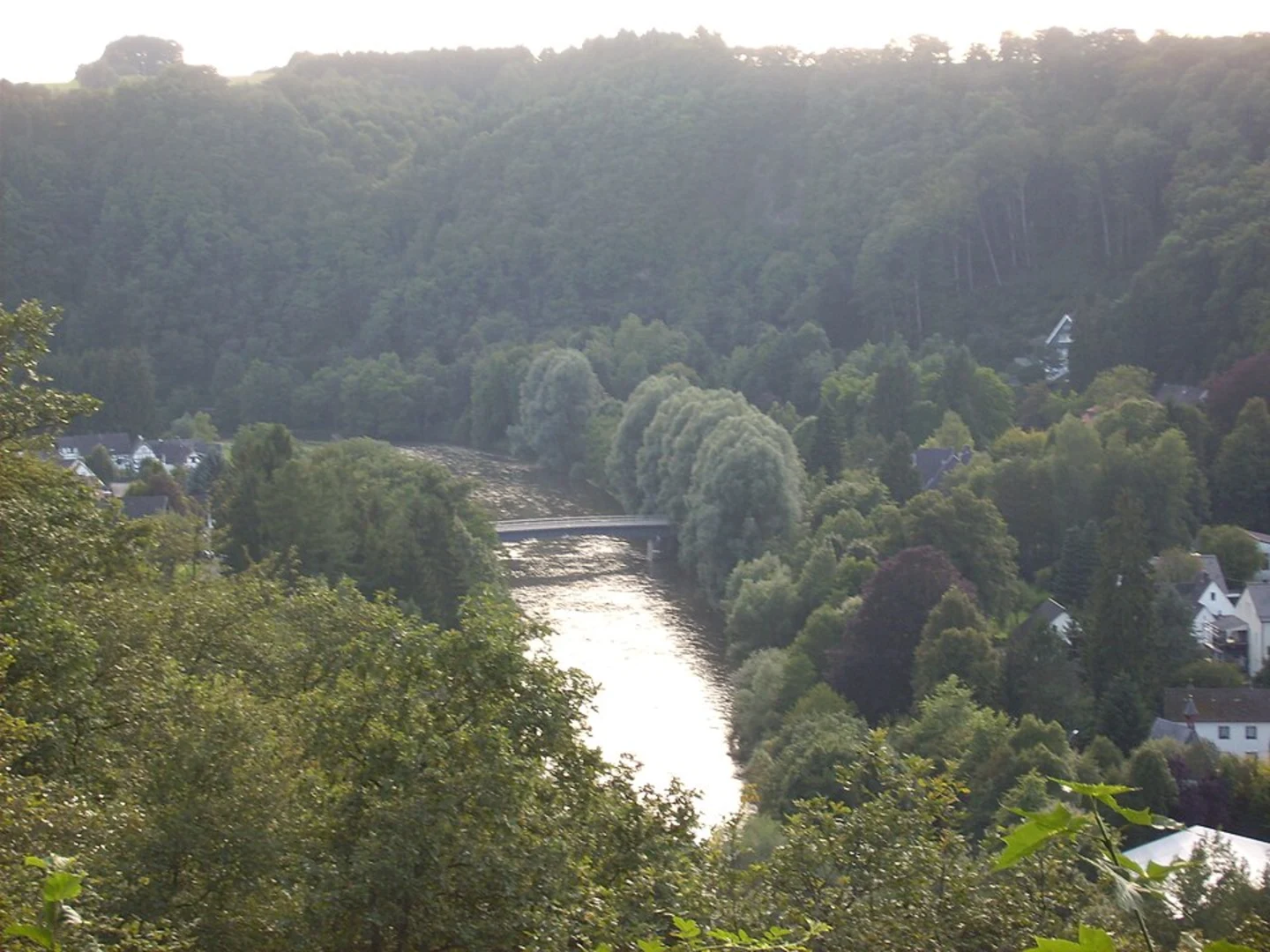 An image depicting the trail Natursteig Sieg and its surrounding area.