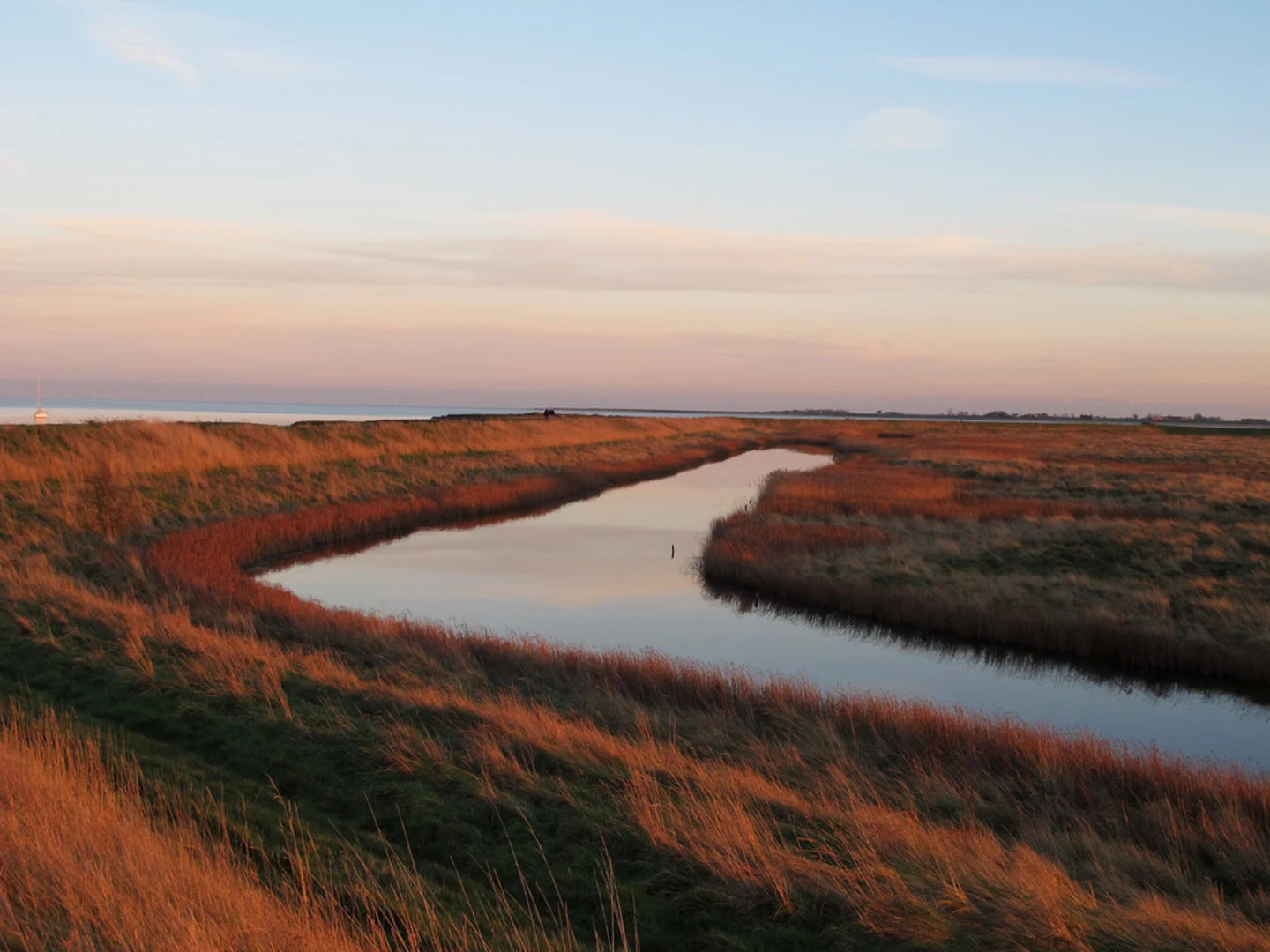 An image depicting the trail Tollesbury Wick Marshes Loop and its surrounding area.