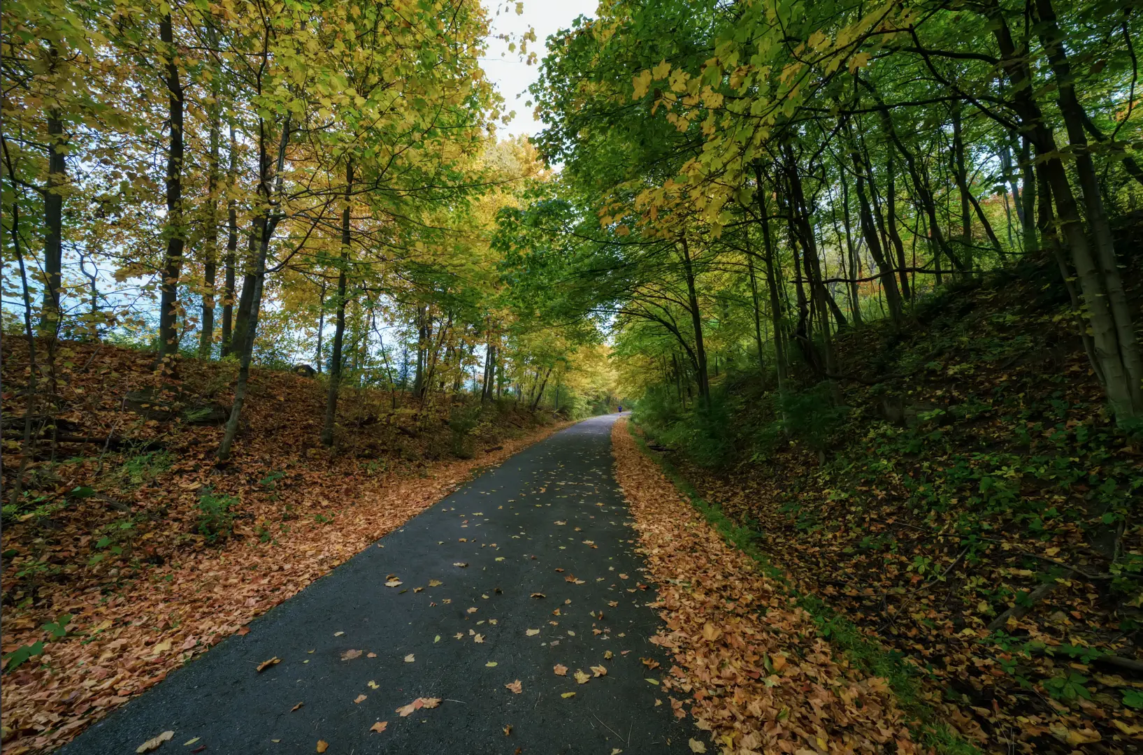 An image depicting the trail Montour Run via Montour Trail and its surrounding area.