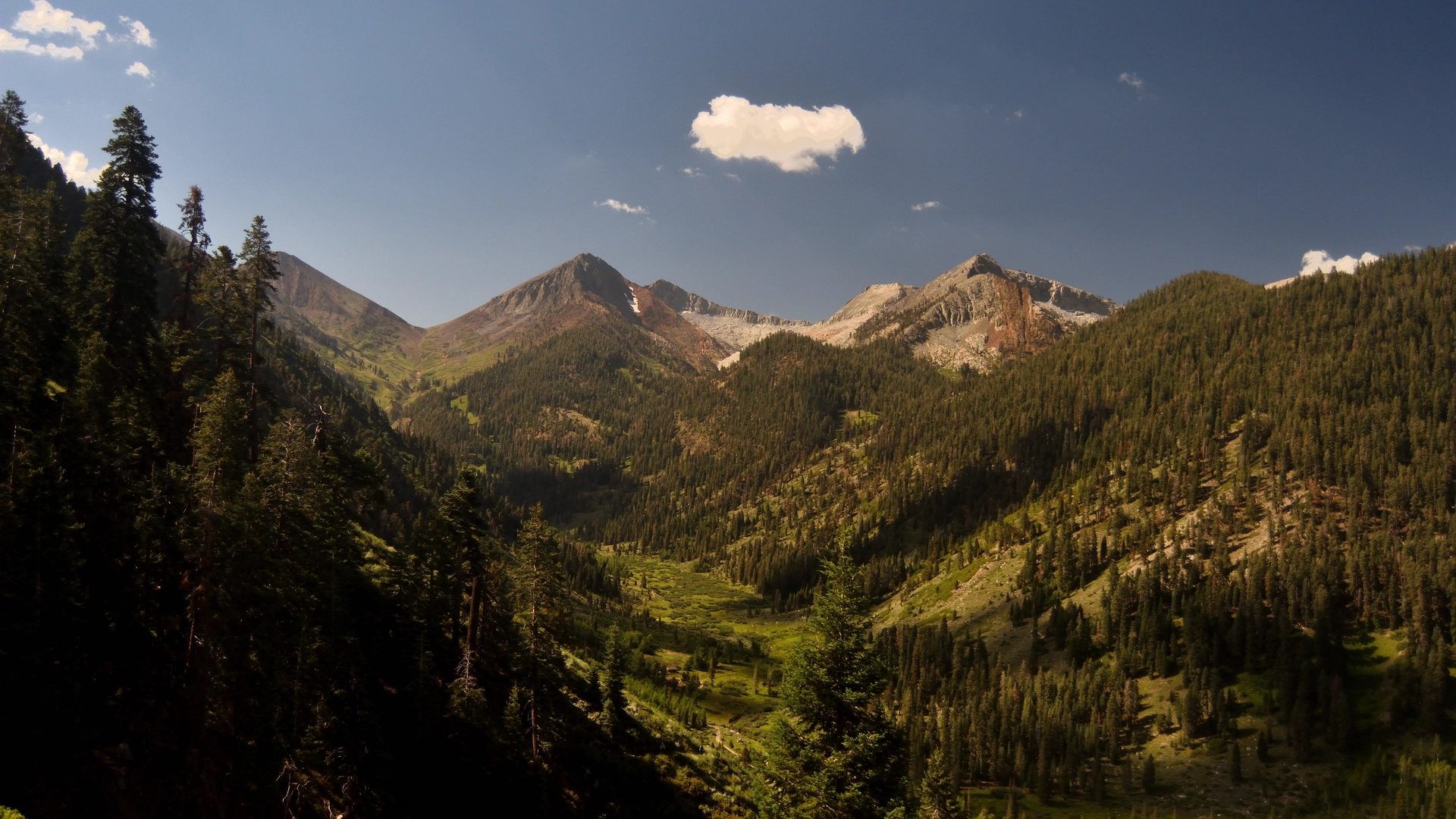 An image depicting the trail Timber Gap Creek and its surrounding area.