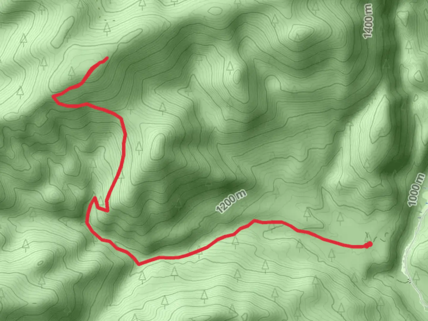 An image depicting the trail Tillicum Creek Trail and its surrounding area.