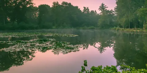 An image depicting the trail Twentepad and its surrounding area.