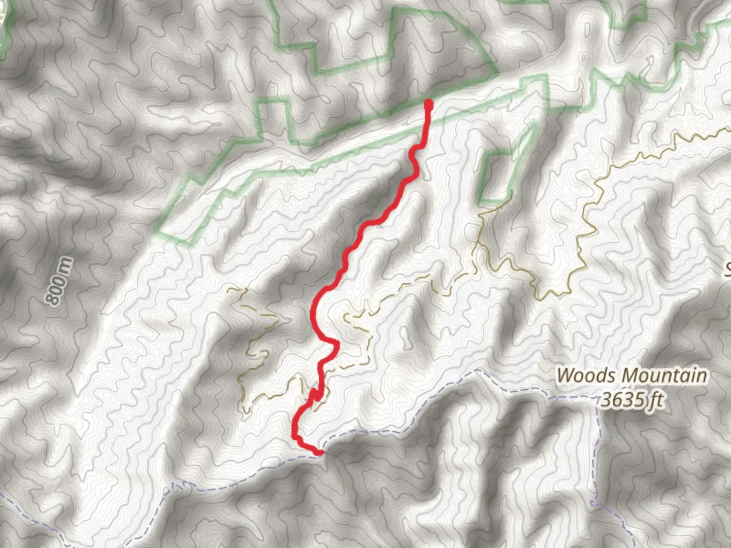 An image depicting the trail Bad Fork Trail and its surrounding area.