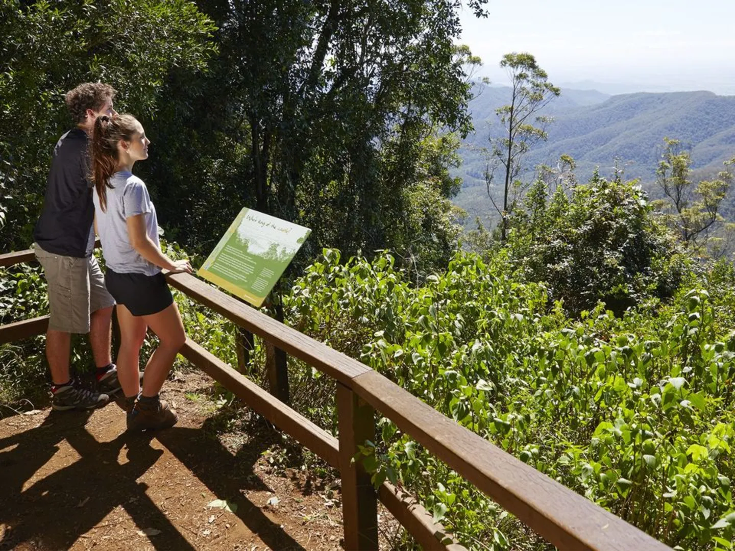 An image depicting the trail Winder Track and its surrounding area.