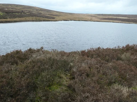 An image depicting the trail Faweather, Ilkley and Ben Rhydding Loop and its surrounding area.