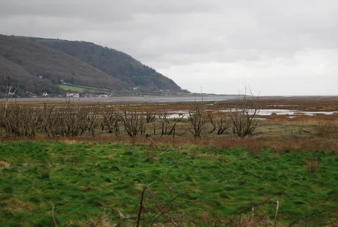 An image depicting the trail Porlock Weir, Culbone and Hawkcombe Loop and its surrounding area.