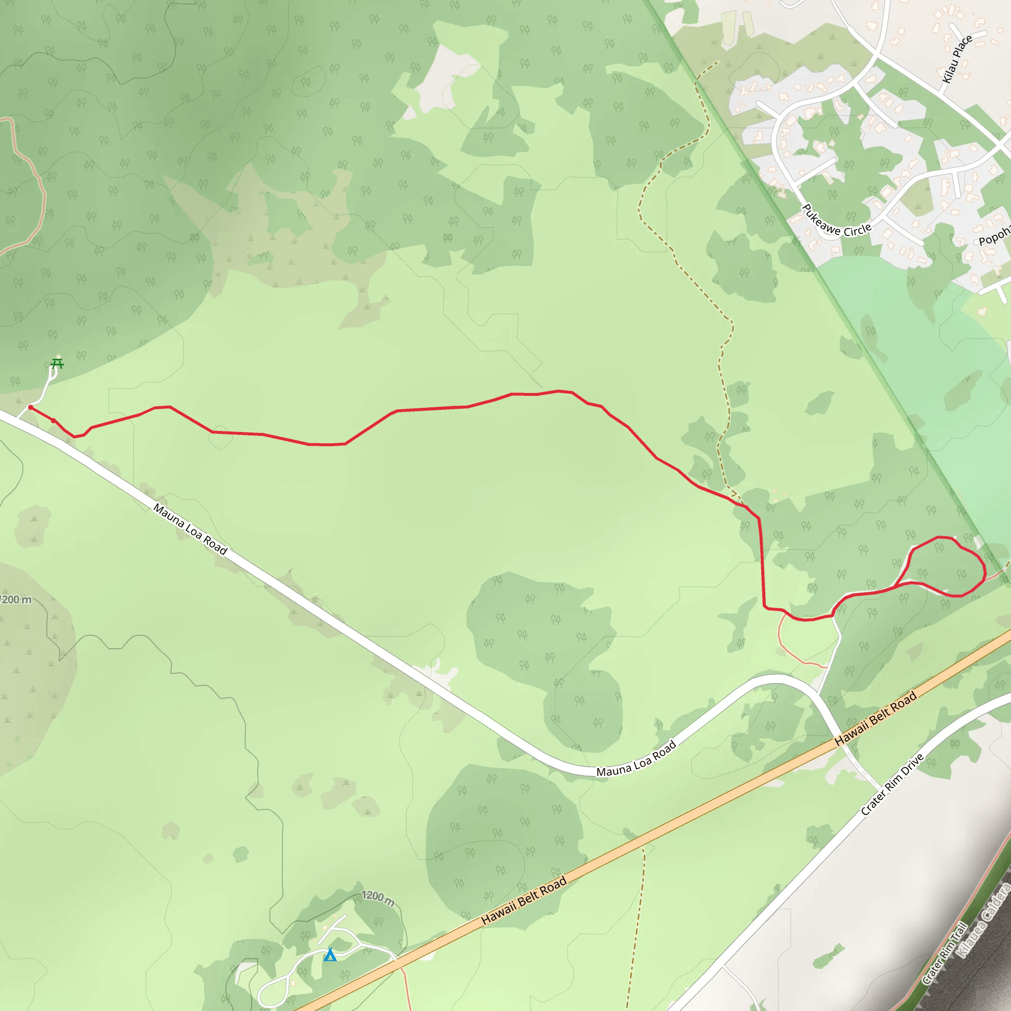 Lava Tree Molds Walk mobile static map