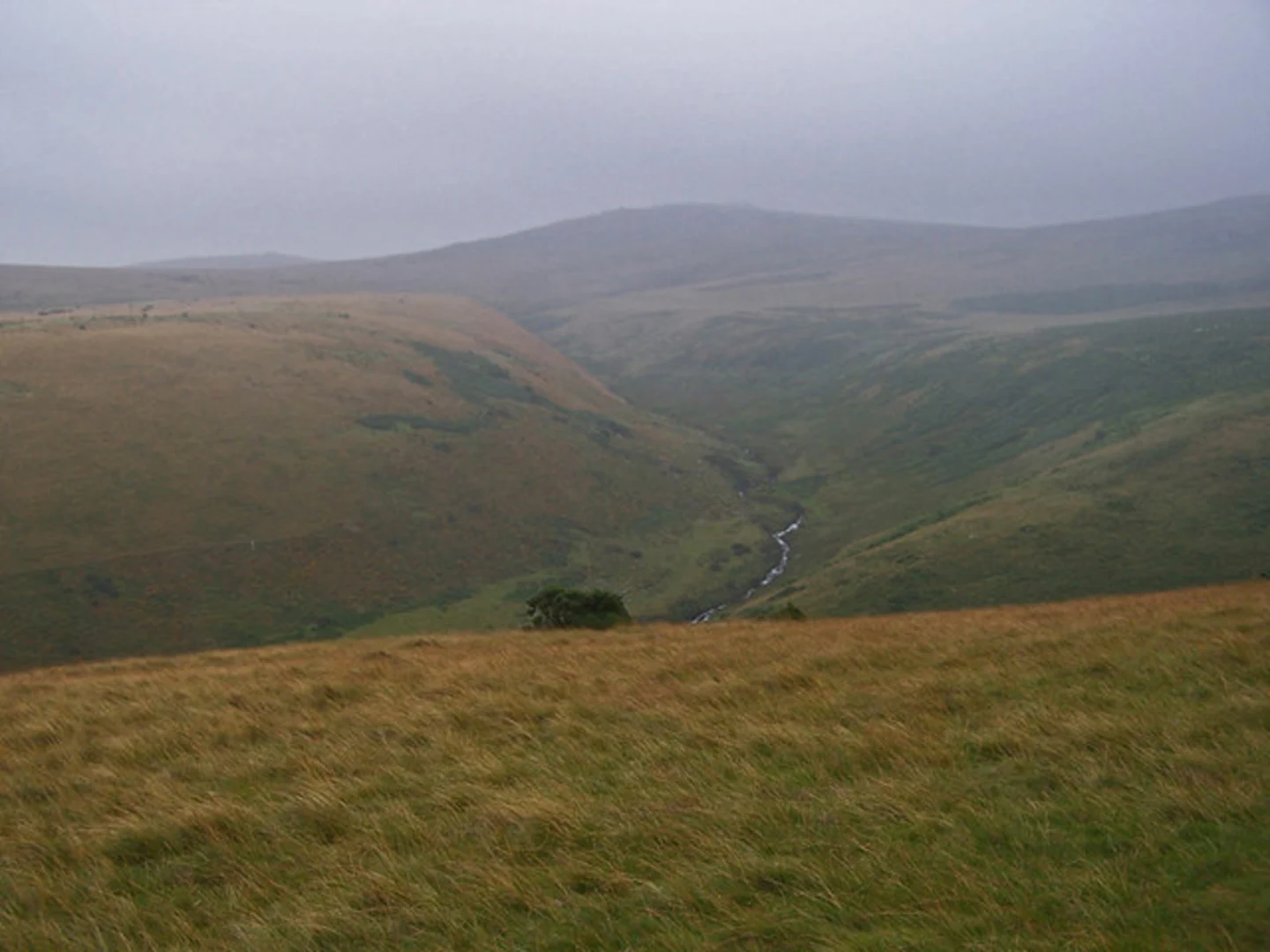 An image depicting the trail Longstone Hill, High Willhays and Yes Tor Loop - Meldon and its surrounding area.