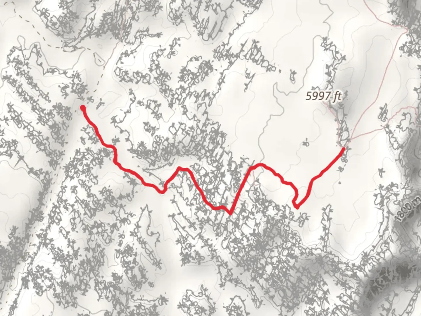 An image depicting the trail Joint Trail Out and Back and its surrounding area.