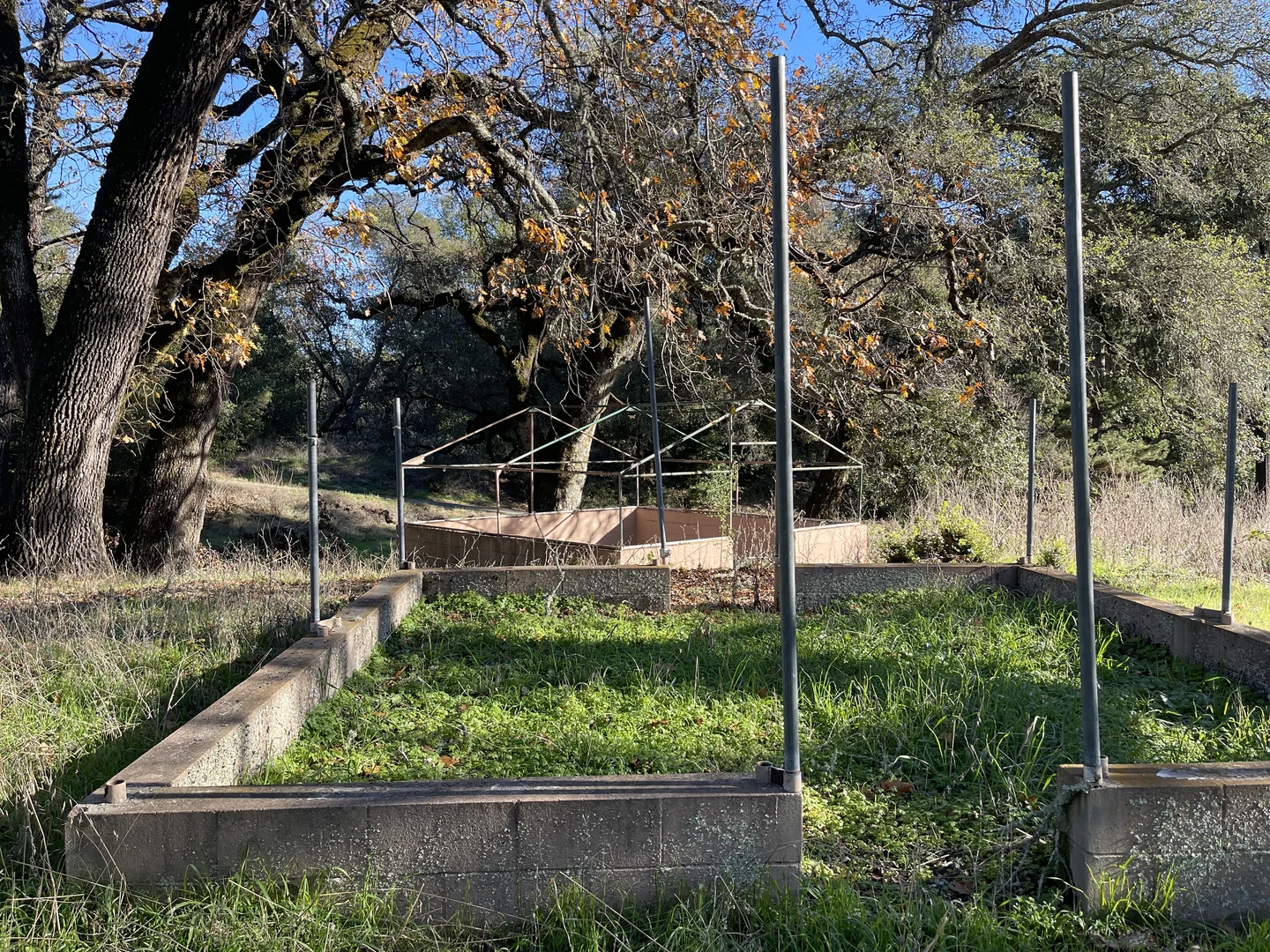An image depicting the trail Camp Sonoma Developmental Center Loop and its surrounding area.