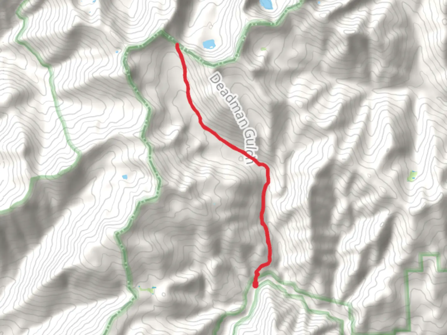An image depicting the trail South Fork Coffee Creek Trail and its surrounding area.