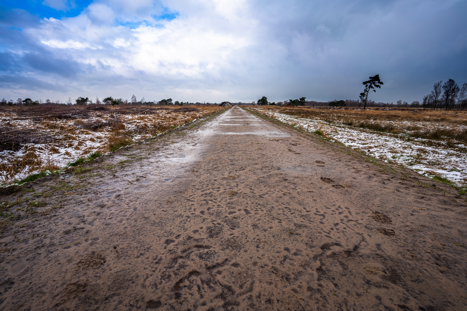 An image depicting the trail Oostappensche Heide and Dennendijkse Bossen Loop and its surrounding area.