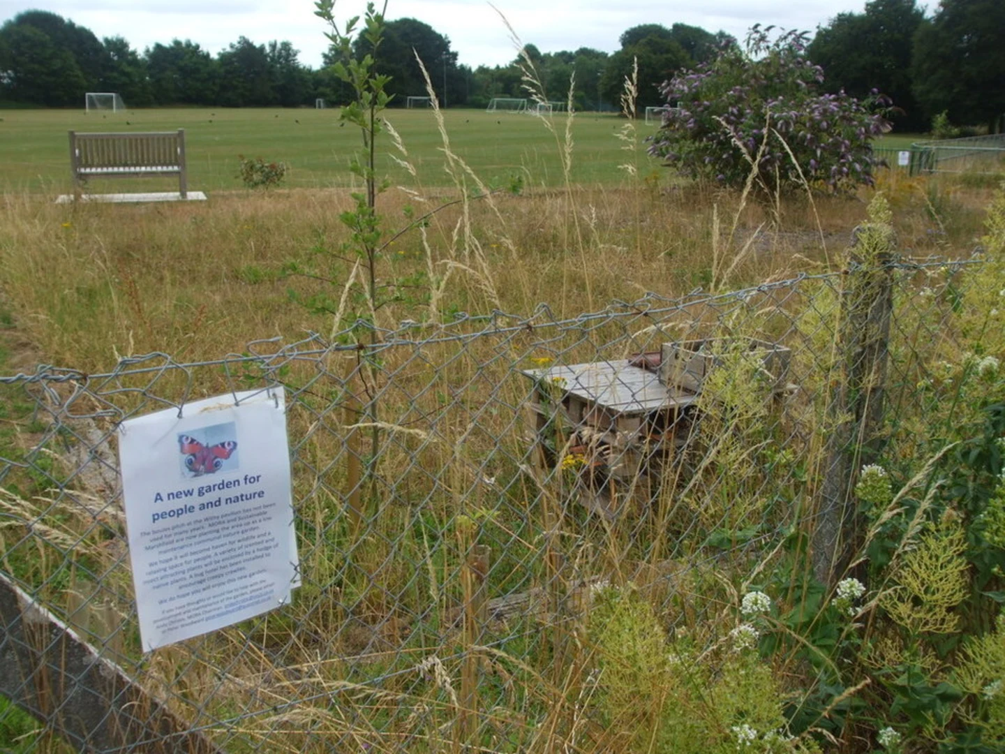 An image depicting the trail Cloud Wood Loop and its surrounding area.