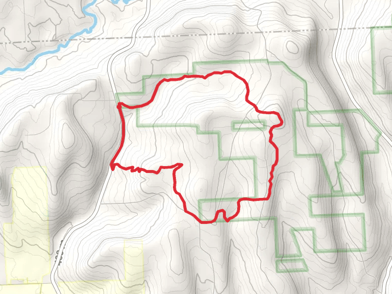 Spanish Loop and NCT