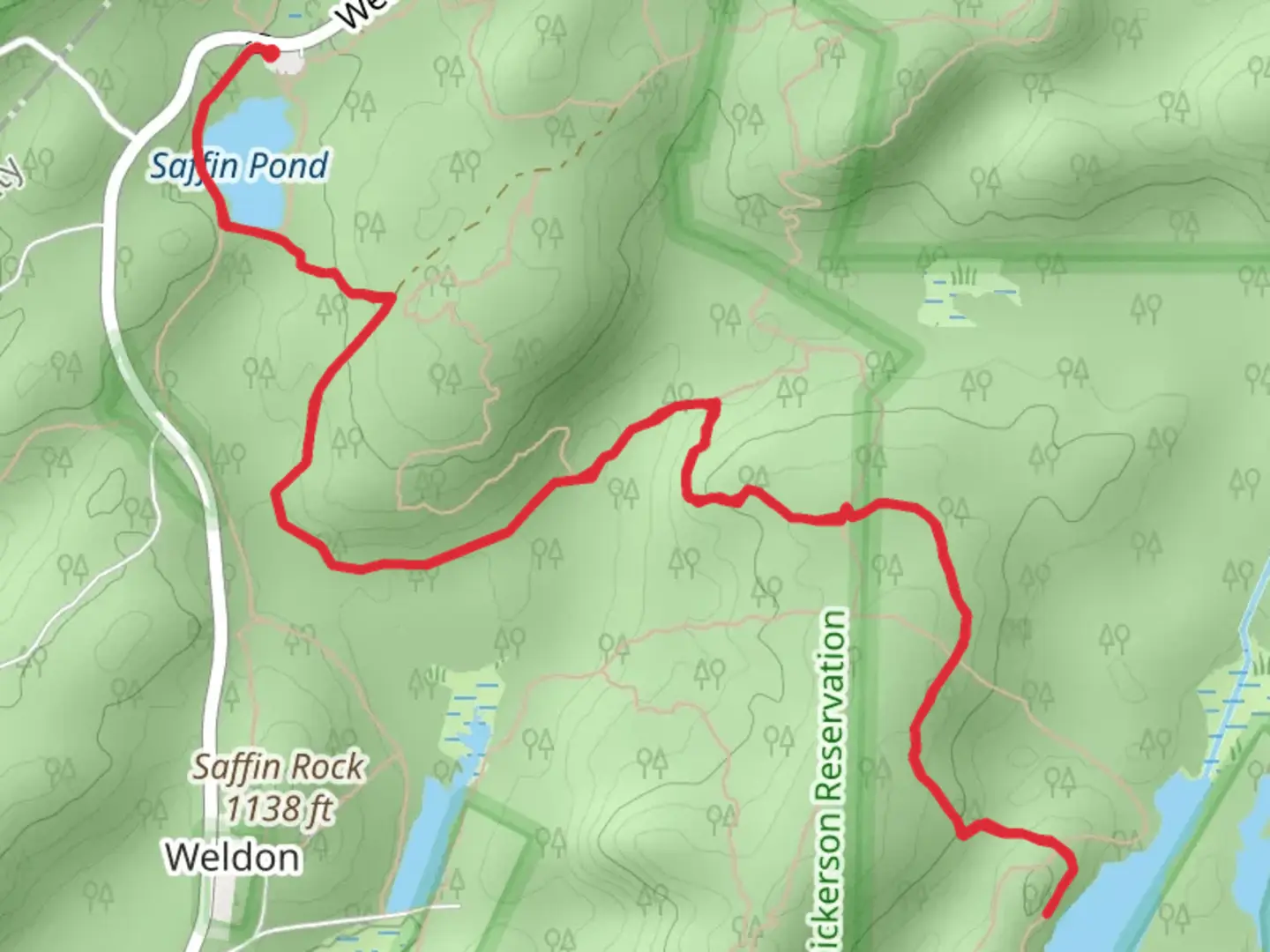 An image depicting the trail Saffin Pond to Beaver Brook and its surrounding area.