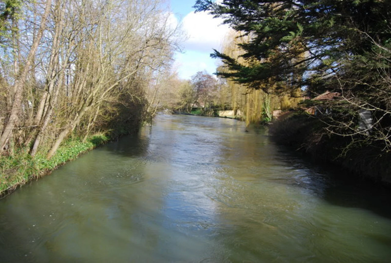 An image depicting the trail Iffley Lock and Meadows Walk and its surrounding area.