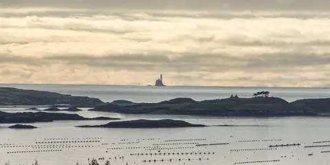 An image depicting the trail Fastnet Trails - Bechers Walk and its surrounding area.