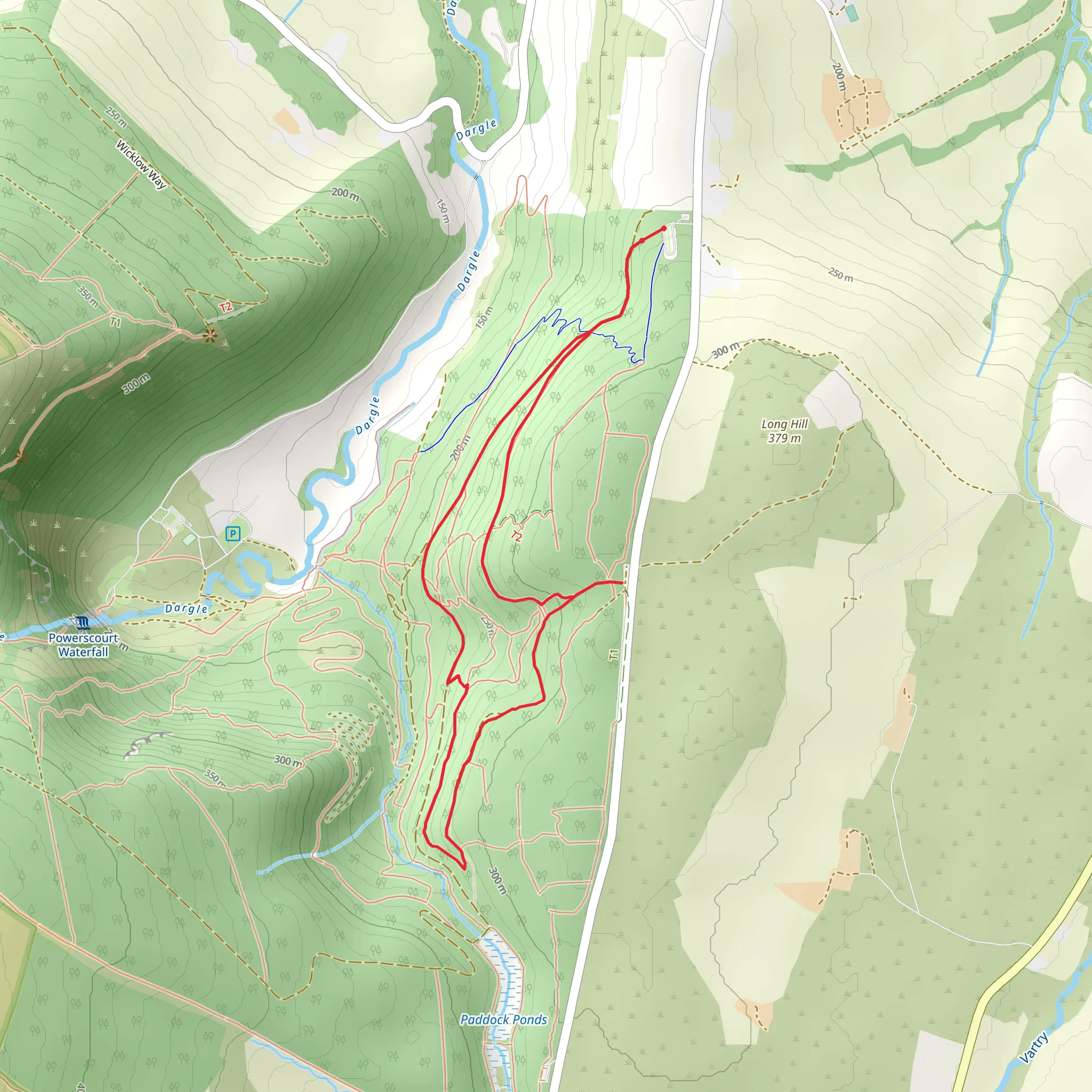 Djouce Woods - Blue Loop mobile static map