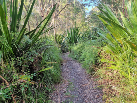 Ironbark Track