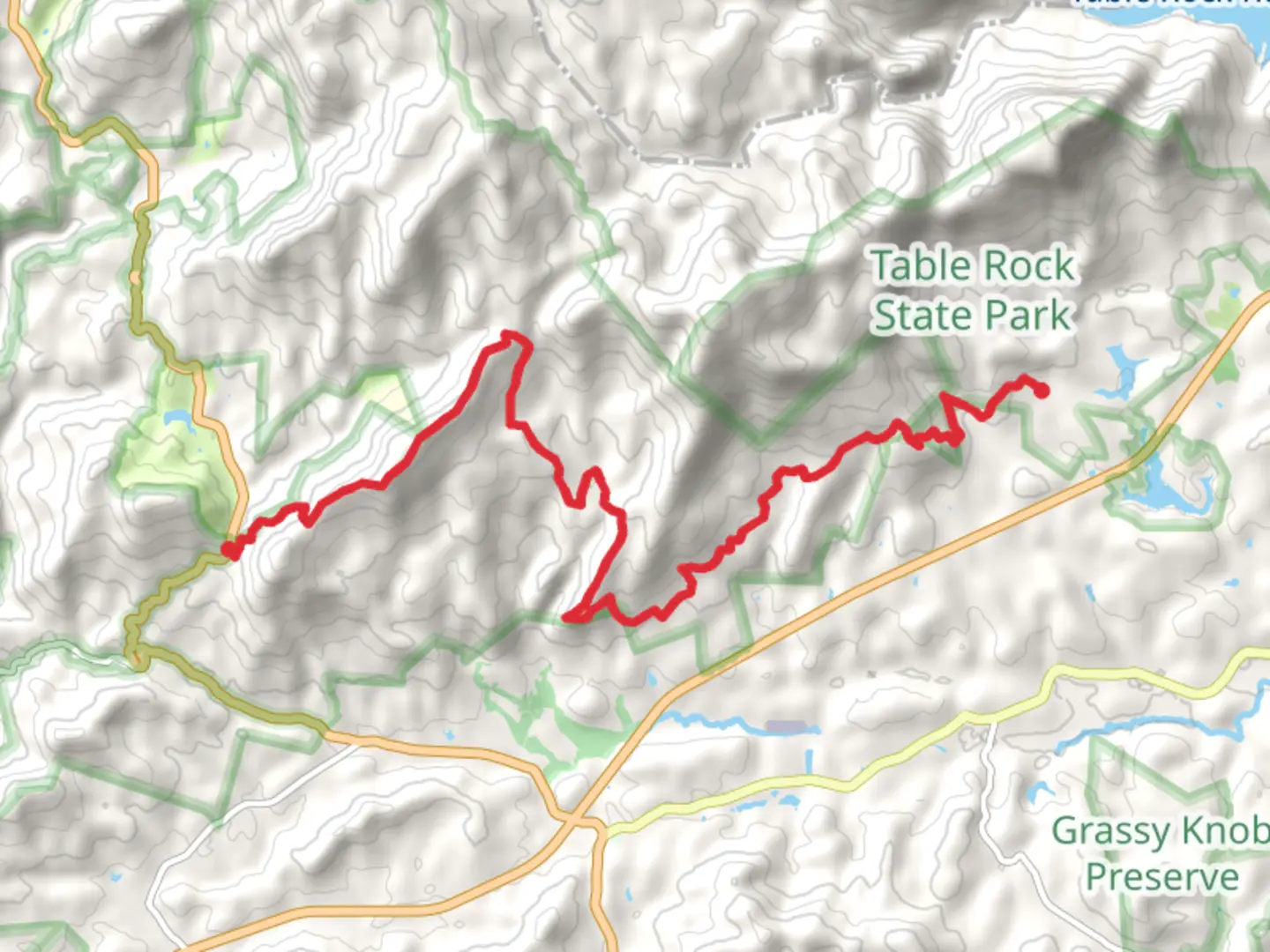 An image depicting the trail Palmetto Trail, Horse Gap and Horse Mountain and its surrounding area.