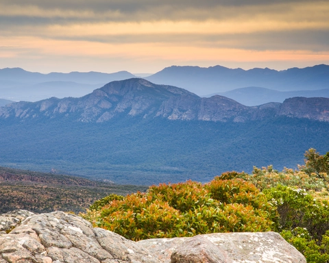 Major Mitchell Plateau Trail