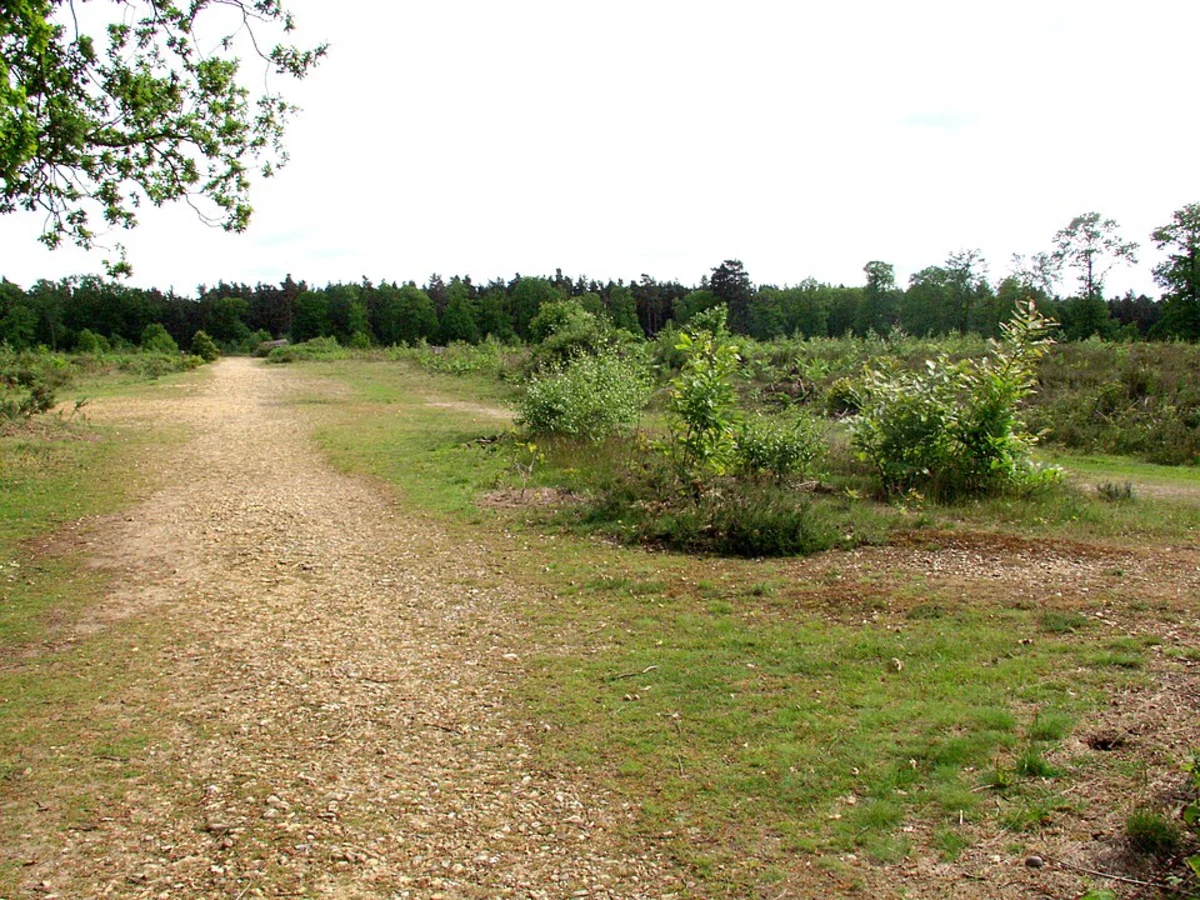 Caesar's Camp and Birch Hill