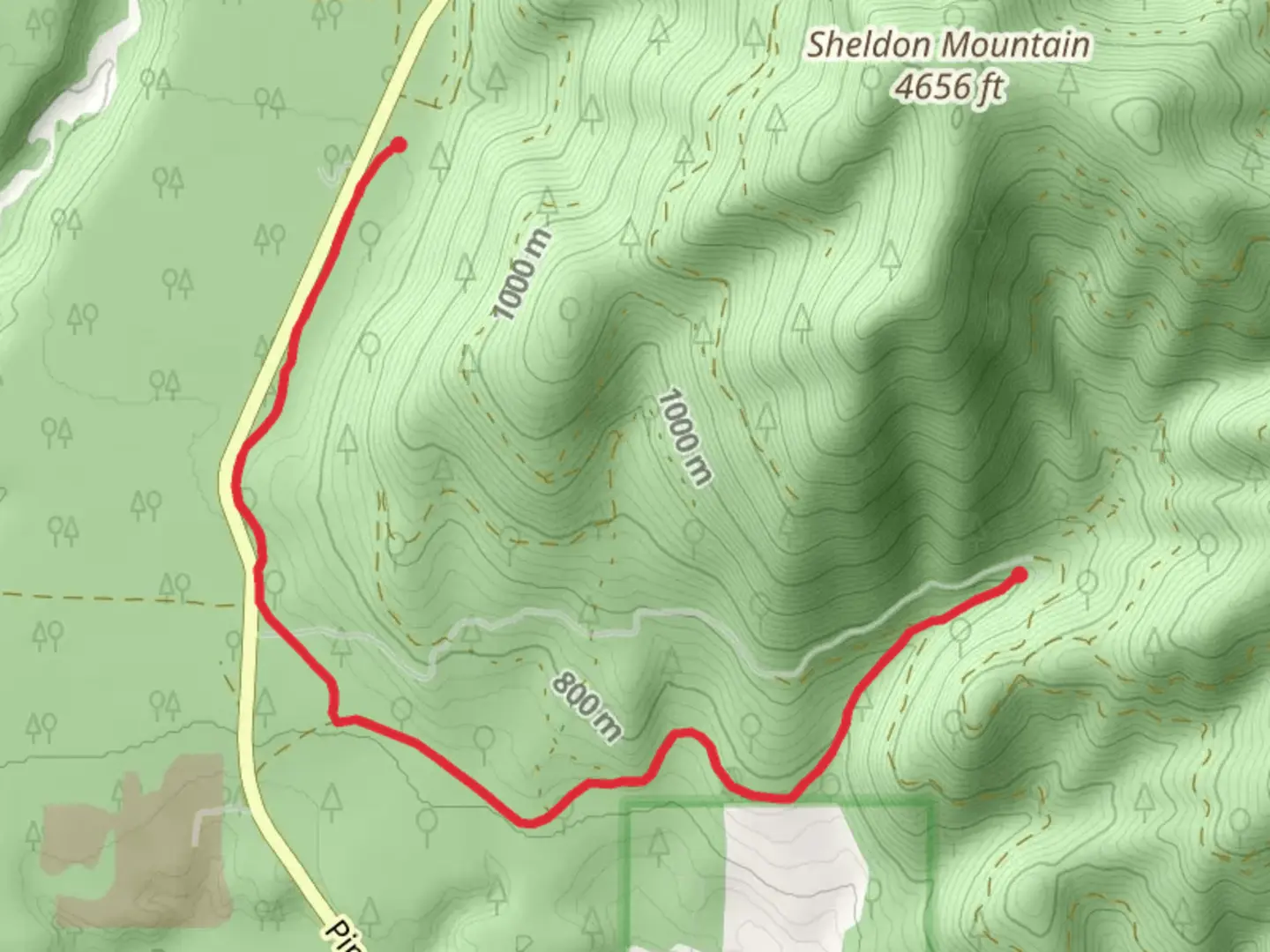An image depicting the trail Sheldon Mountain C Trail and its surrounding area.