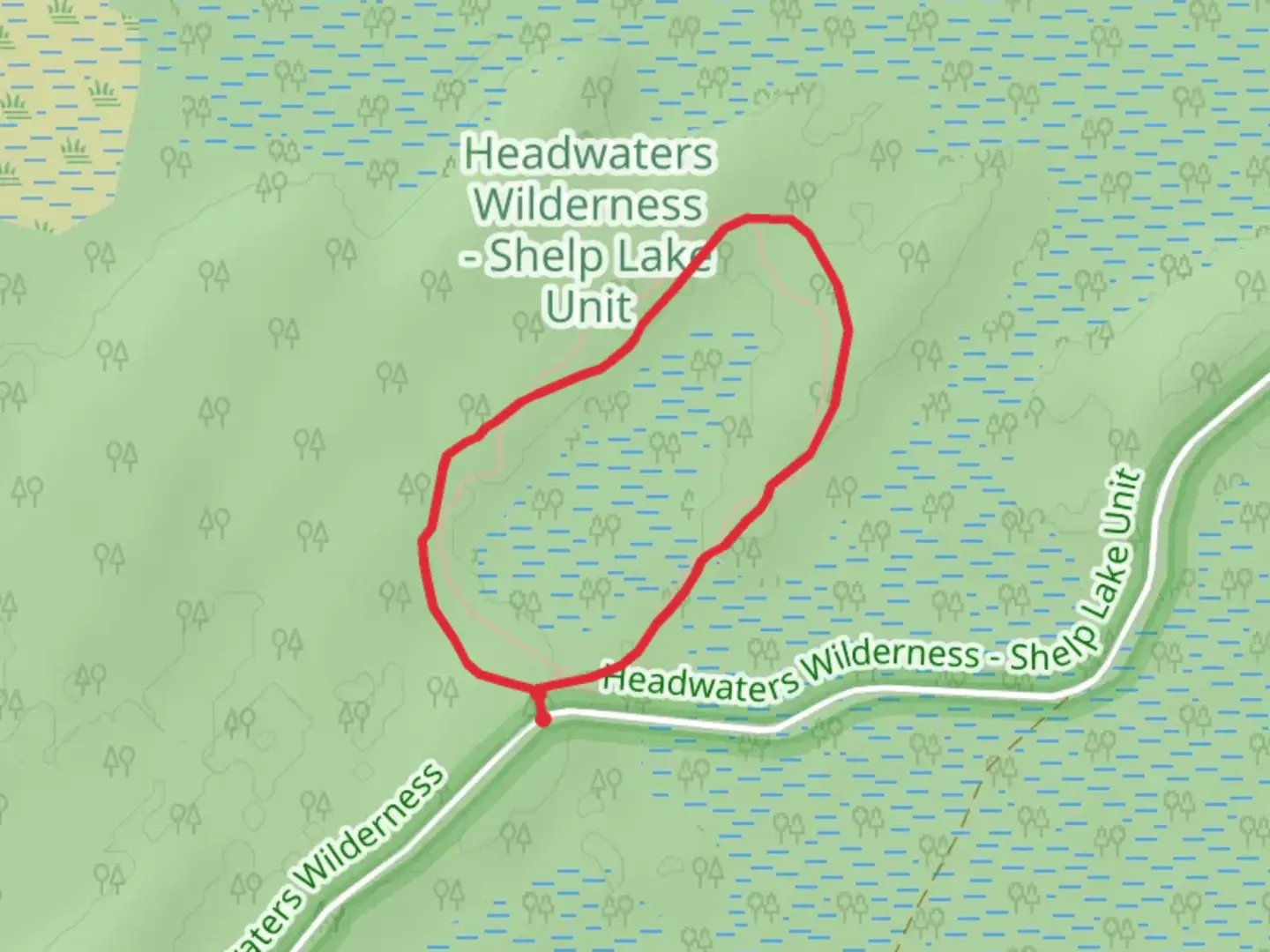 An image depicting the trail Giant Pine Trail and its surrounding area.