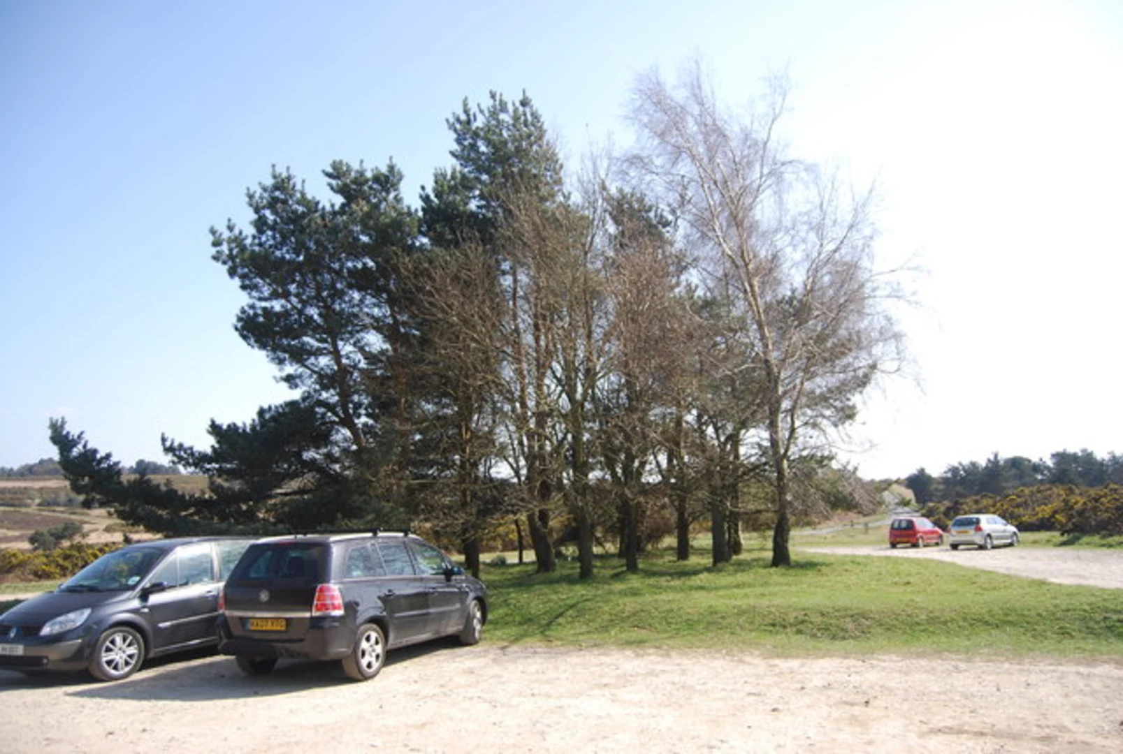 An image depicting the trail The Enchanted Place Loop and its surrounding area.