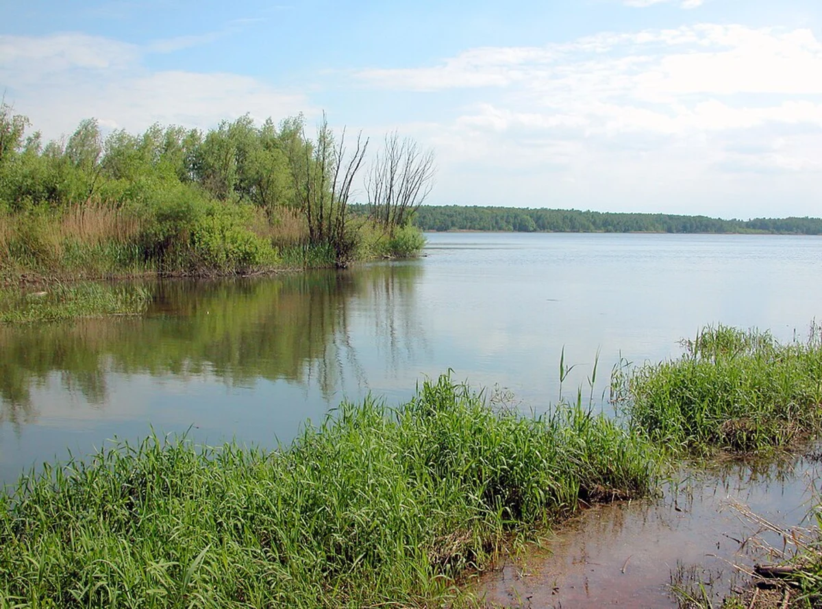 Speicherbecken Borna Loop