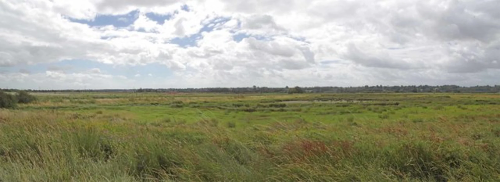 An image depicting the trail Cattawade and Flatford Loop via River Stour and its surrounding area.