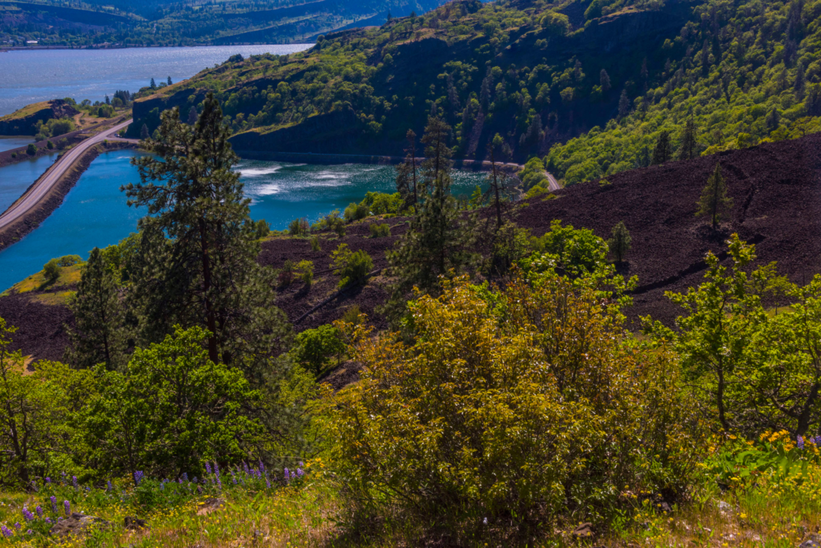 An image depicting the trail Indian Pits Trail and its surrounding area.