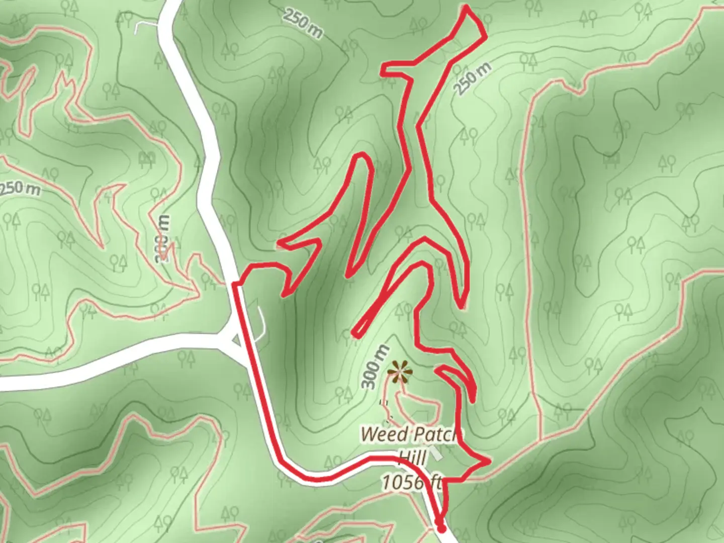 An image depicting the trail Weedpatch Hill Loop and its surrounding area.