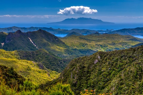 An image depicting the trail Aotea Track and its surrounding area.