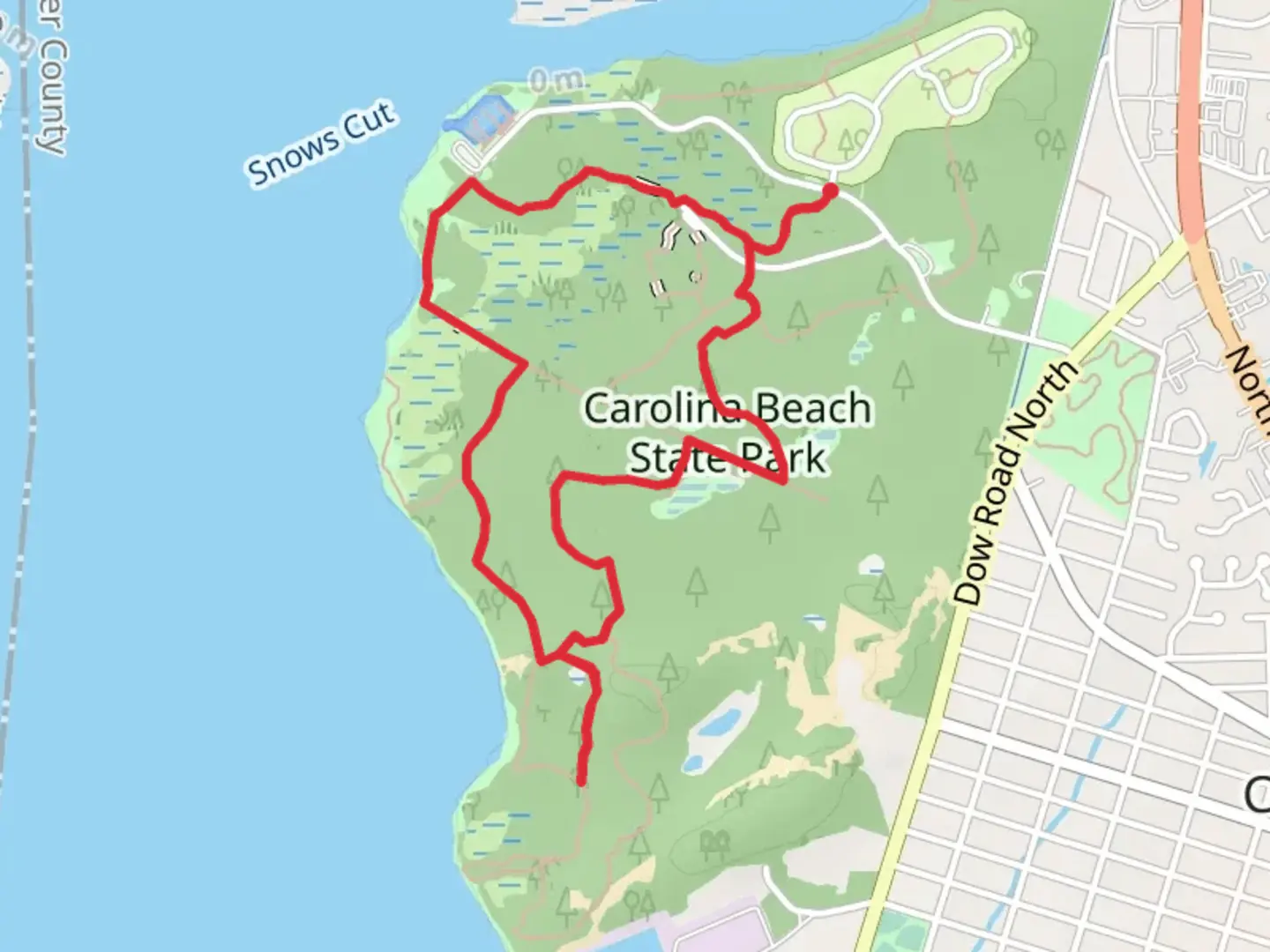 An image depicting the trail Carolina Beach State Park Loop and its surrounding area.