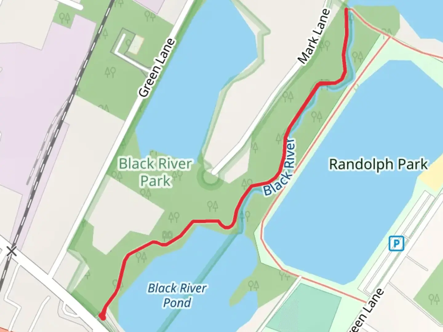 An image depicting the trail Black River Pond and Randolph Park and its surrounding area.