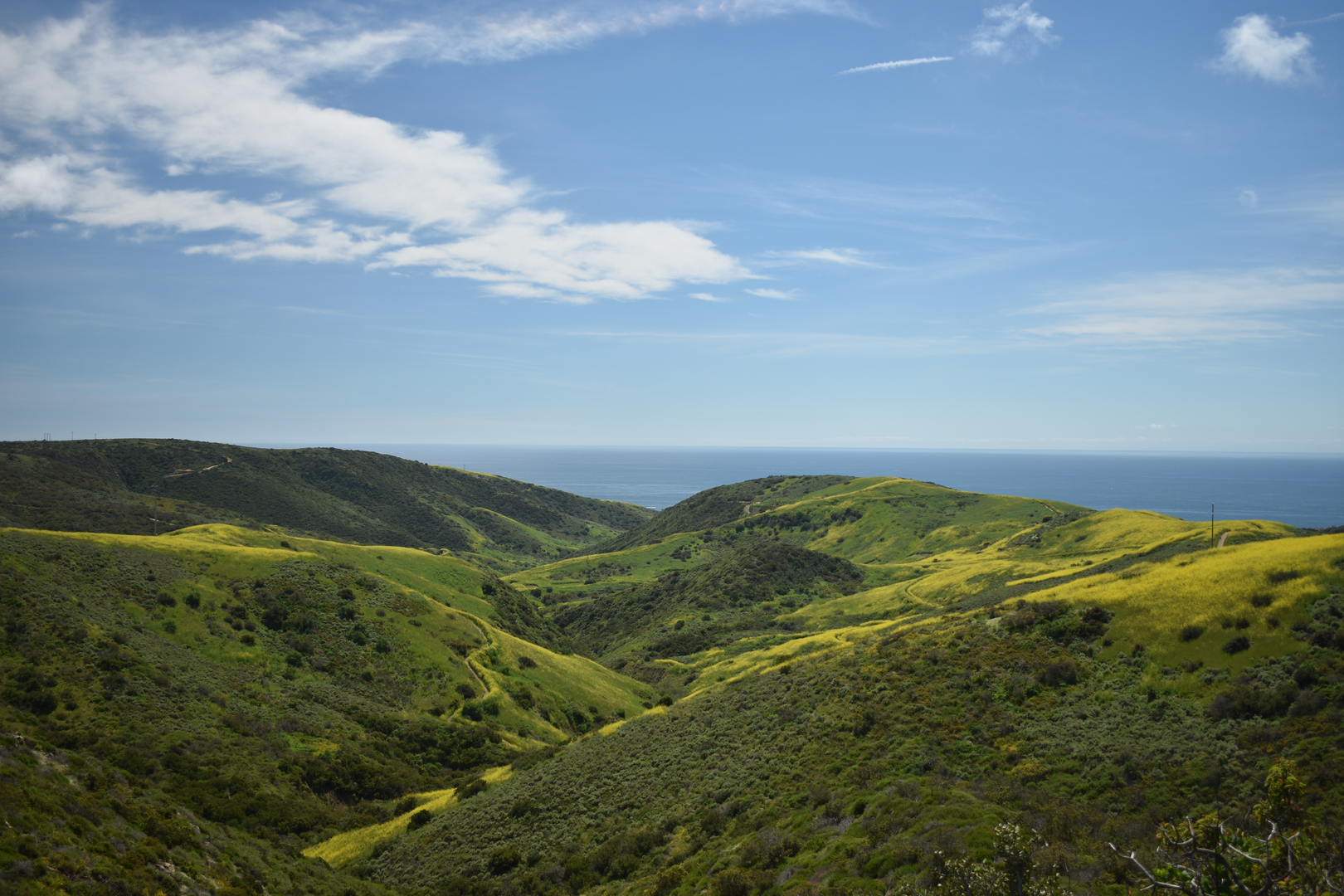 An image depicting the trail Pacific Ridge Trail and Moro Canyon Loop Trail and its surrounding area.