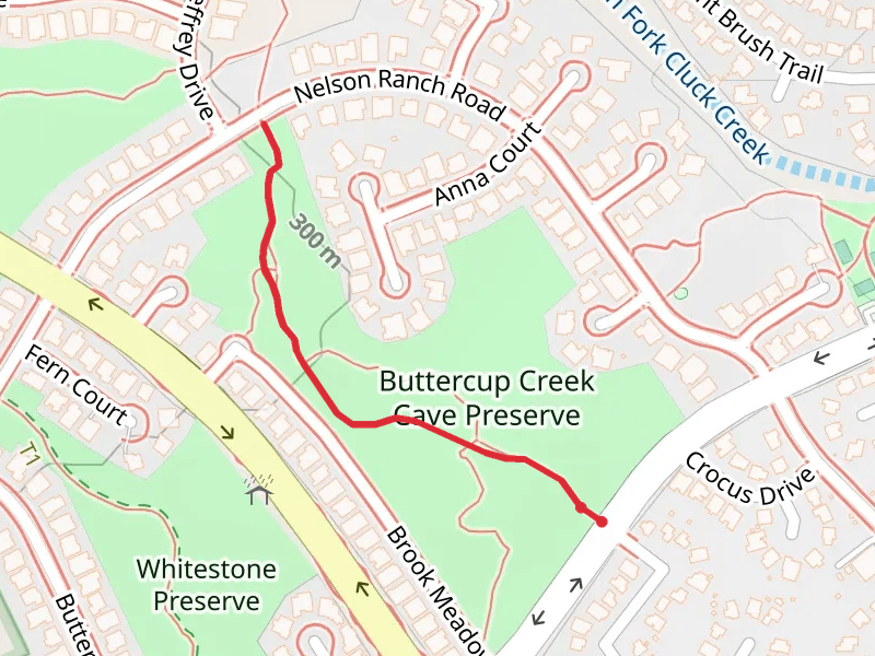 Cedar Elm Preserve Trail