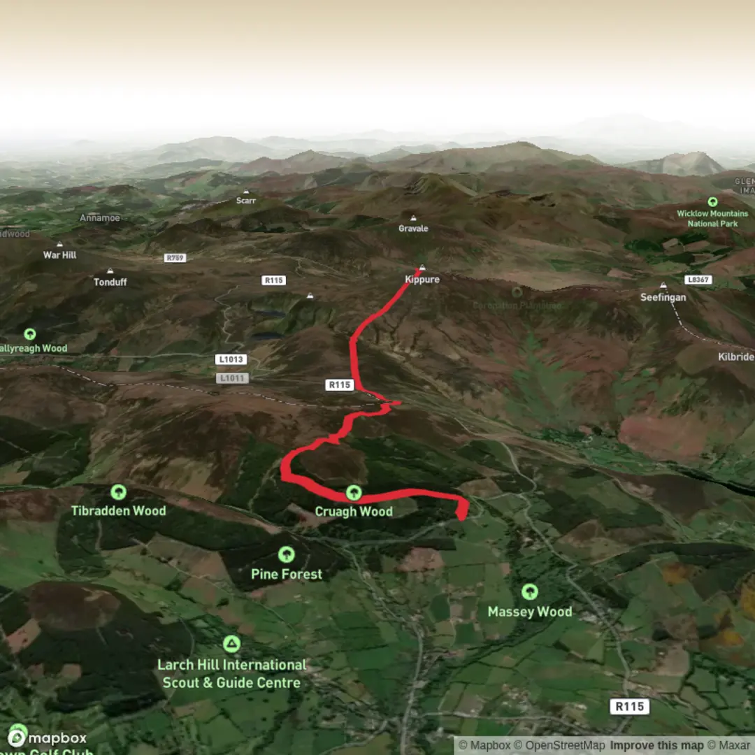 An image depicting the trail Cruagh to Kippure and its surrounding area.