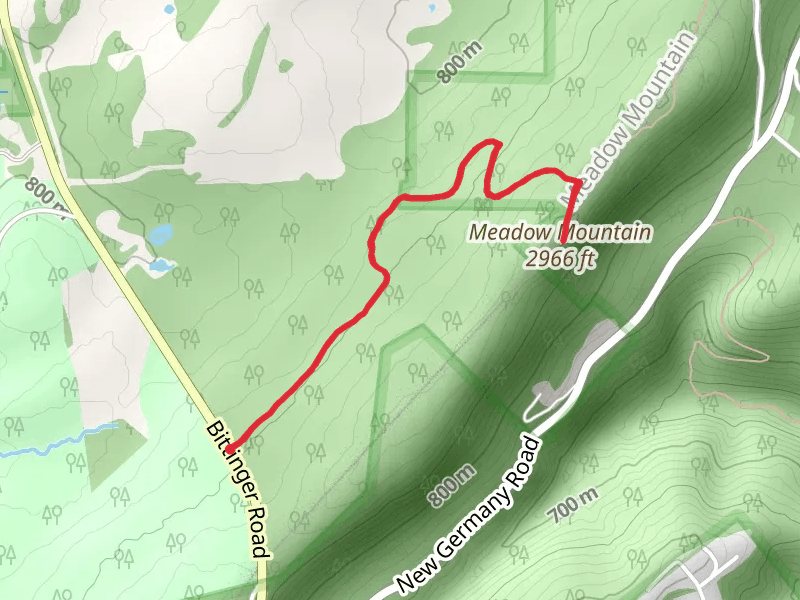 Meadow Mountain fromm Bittinger Road